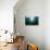 Seagrass-Reinhard Dirscherl-Premier Image Canvas displayed on a wall