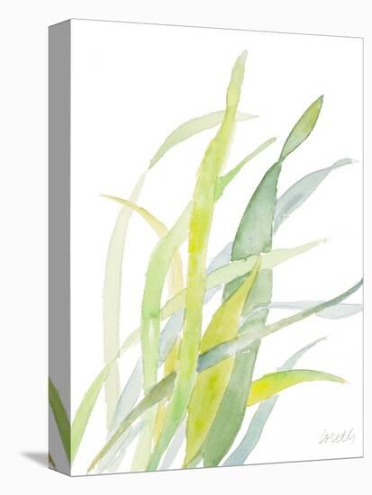 Seagrasses and Eelgrasses II-Lanie Loreth-Stretched Canvas