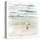 Seagull Cove II-Victoria Borges-Stretched Canvas