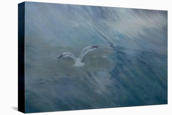 Seagull Flying Away, 2012 (Oil on Canvas)-Antonia Myatt-Premier Image Canvas