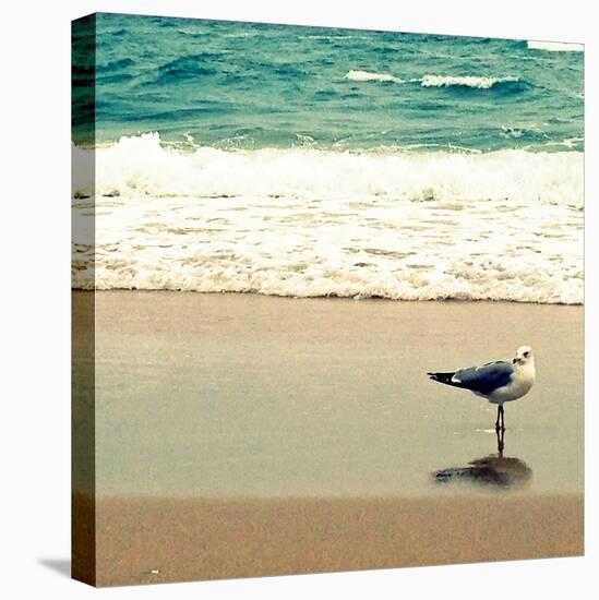 Seagull on Beach-Lisa Hill Saghini-Premier Image Canvas