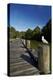 Seagull on Boardwalk by Mahurangi River, Warkworth, Auckland Region, North Island, New Zealand-David Wall-Premier Image Canvas