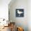 Seagull Silhouette and Lettering-TashaNatasha-Stretched Canvas displayed on a wall