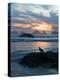 Seagull Silhouette on Coastline, Bandon Beach, Oregon, USA-Nancy Rotenberg-Premier Image Canvas