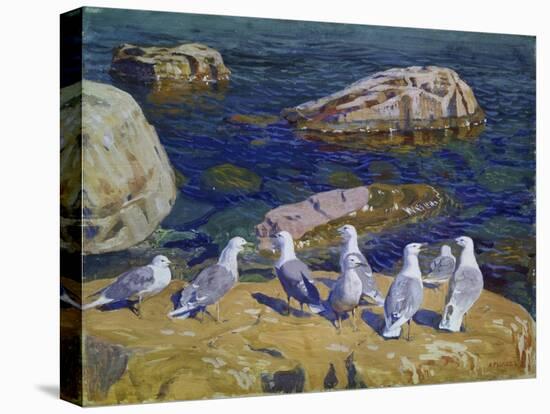 Seagulls, 1910-Arkadi Rylow-Premier Image Canvas