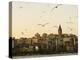 Seagulls Flock Above the Golden Horn, Istanbul, with the Galata Tower in the Background-Julian Love-Premier Image Canvas