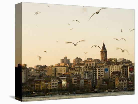 Seagulls Flock Above the Golden Horn, Istanbul, with the Galata Tower in the Background-Julian Love-Premier Image Canvas