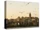 Seagulls Flock Above the Golden Horn, Istanbul, with the Galata Tower in the Background-Julian Love-Premier Image Canvas