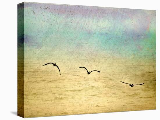 Seagulls in the Sky II-Ynon Mabat-Stretched Canvas