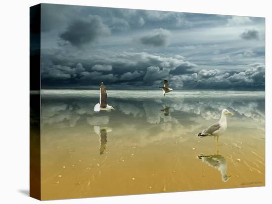 Seagulls on the Beach-Carlos Casamayor-Premier Image Canvas