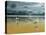 Seagulls on the Beach-Carlos Casamayor-Premier Image Canvas