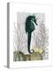 SeaHorse and Sea Urchins-Fab Funky-Stretched Canvas