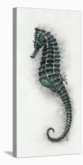 Seahorse II-Hilary Armstrong-Stretched Canvas