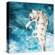 Seahorse Swimming-Kimberly Allen-Stretched Canvas