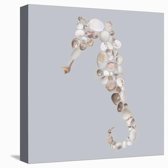 Seahorse-Justin Lloyd-Stretched Canvas