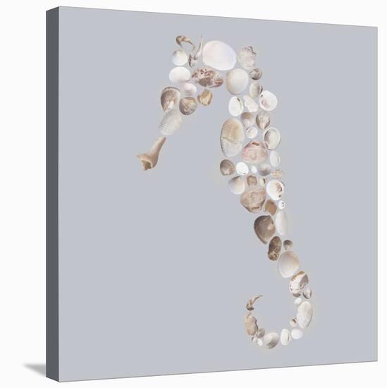 Seahorse-Justin Lloyd-Stretched Canvas