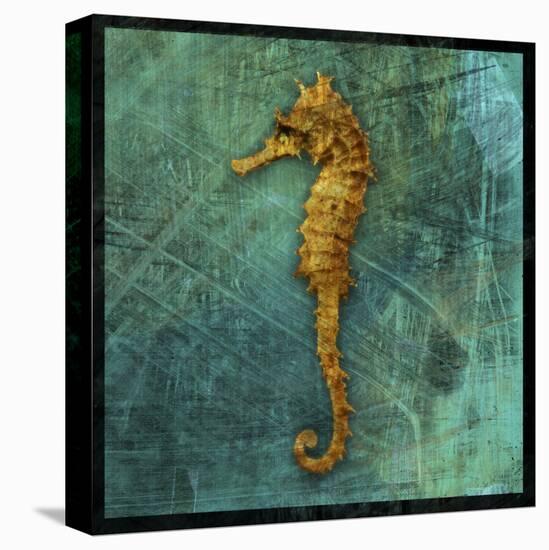 Seahorse-John W Golden-Premier Image Canvas