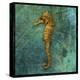 Seahorse-John W Golden-Premier Image Canvas