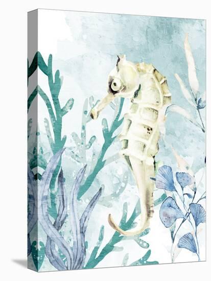 Seahorse-Kimberly Allen-Stretched Canvas