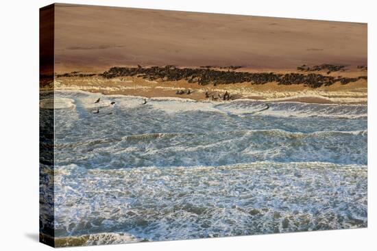 Seal Colony on Skeleton Coast, Namibia, Namib Desert, Aerial View-Peter Adams-Premier Image Canvas