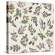 Seamless Pattern of Various Hand Drawn Herbs and Flowers-ONYXprj-Stretched Canvas