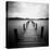 Seapack-Craig Roberts-Premier Image Canvas