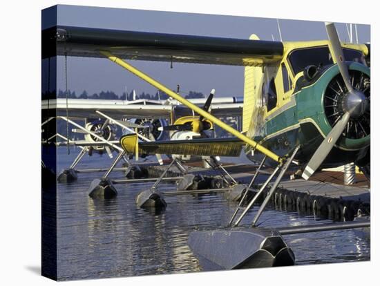 Seaplanes Docked on Lake Washington, Seattle, Washington, USA-Merrill Images-Premier Image Canvas