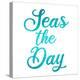 Seas the Day-Kimberly Allen-Stretched Canvas