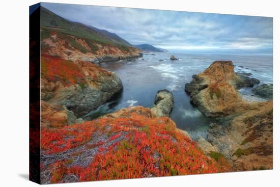 Seascape at Soberanes Point-Vincent James-Premier Image Canvas