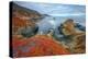 Seascape at Soberanes Point-Vincent James-Premier Image Canvas