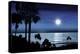 Seascape Night Moon-Alex Hanson-Stretched Canvas