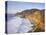 Seascape with Cliffs, San Mateo County, CA-Shmuel Thaler-Premier Image Canvas