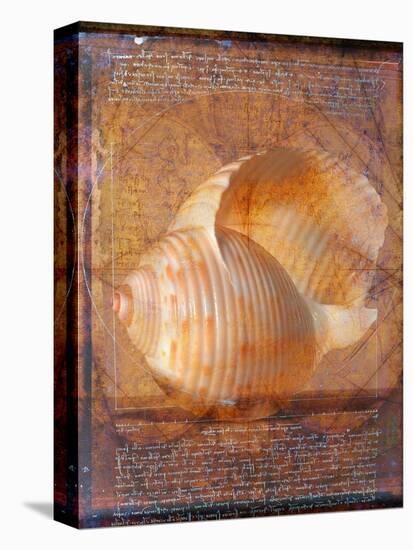 Seashell and Handwriting-Colin Anderson-Premier Image Canvas