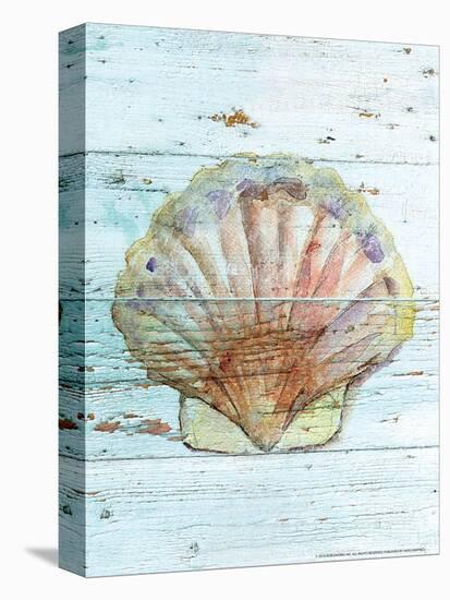 Seashell I-null-Stretched Canvas