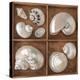 Seashells Treasures I-Assaf Frank-Stretched Canvas