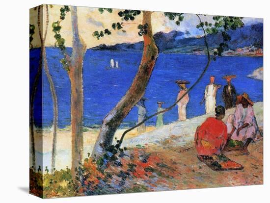 Seashore, Martinique Island, 1887-Paul Gauguin-Premier Image Canvas