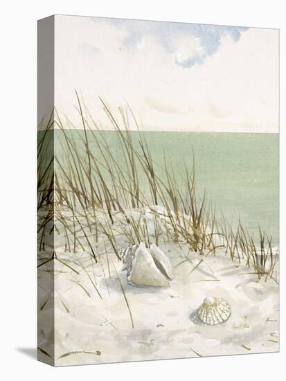 Seaside Bluff  -Arnie Fisk-Stretched Canvas
