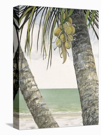 Seaside Coconuts-Arnie Fisk-Stretched Canvas