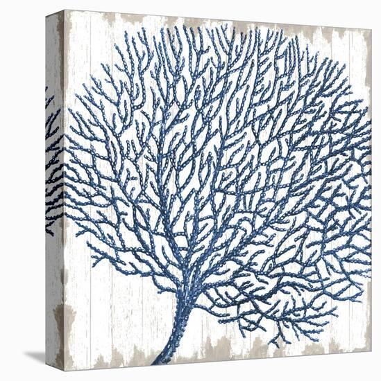 Seaside Coral-Sparx Studio-Stretched Canvas