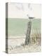 Seaside Perch-Arnie Fisk-Stretched Canvas