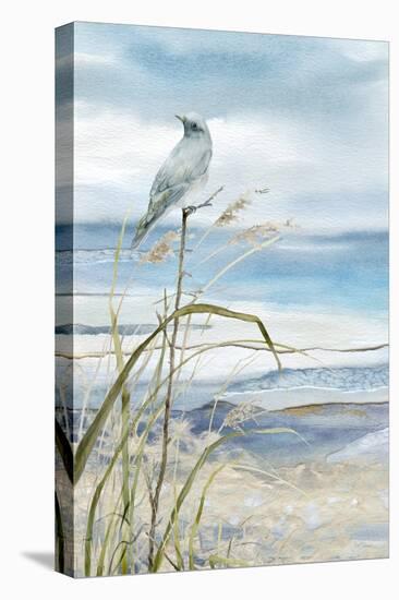 Seaside Rest I-Carol Robinson-Stretched Canvas