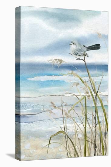 Seaside Rest II-Carol Robinson-Stretched Canvas
