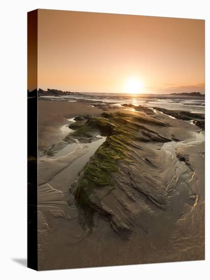 Seaside Rocks on Crackington Haven Beach at Sunset, Cornwall, England, United Kingdom, Europe-Ian Egner-Premier Image Canvas