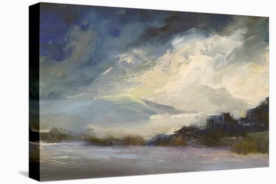 Seaside Sanctuary-Sheila Finch-Stretched Canvas