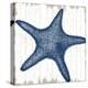 Seaside Starfish-Sparx Studio-Stretched Canvas