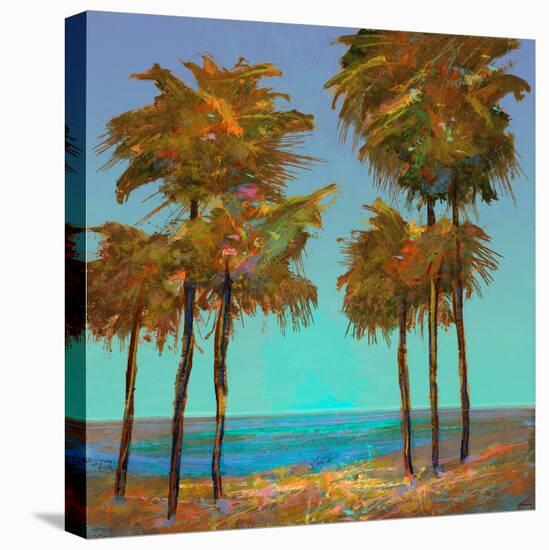 Seaside Sunset-Michael Tienhaara-Stretched Canvas