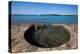 Seaside, Swimming Area, Old Town, Novigrad, Croatia, Europe-Richard Maschmeyer-Premier Image Canvas