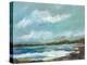 Seaside View IV-Karen Fields-Stretched Canvas