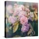 Season of Blossoms-Sarah Gardner-Premier Image Canvas