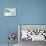 Season's Dream-Lanie Loreth-Stretched Canvas displayed on a wall